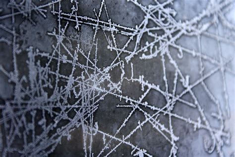 Free Picture Frost Ice Pattern Frozen Ice Crystals Texture