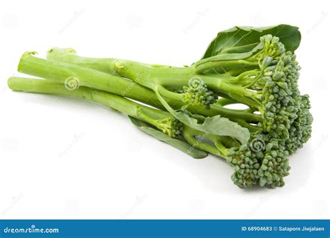 Broccolini Baby Broccoli Isolated Stock Image Image Of Health