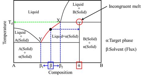 Typical Phase Diagram Of An Incongruenlyt Melting Compound Download