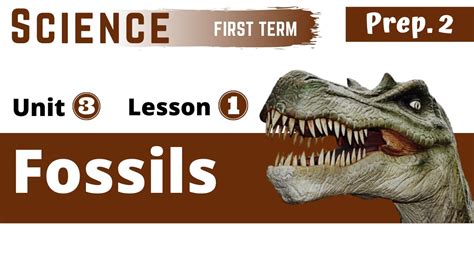 Science Prep 2 Fossils Unit 3 Lesson 1 Youtube