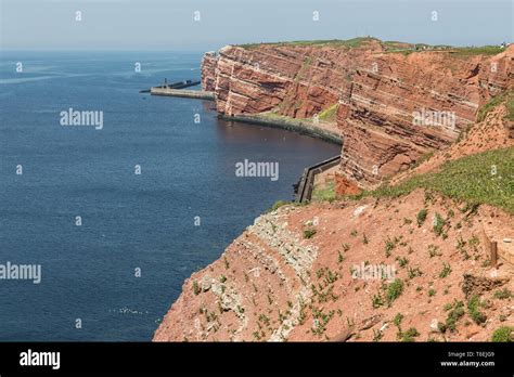 Die Roten Felsen Der Deutschen Insel Helgoland Mit Seevögeln Nisten