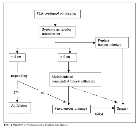 Figure From Management Of Pyogenic Liver Abscesses Percutaneous Or