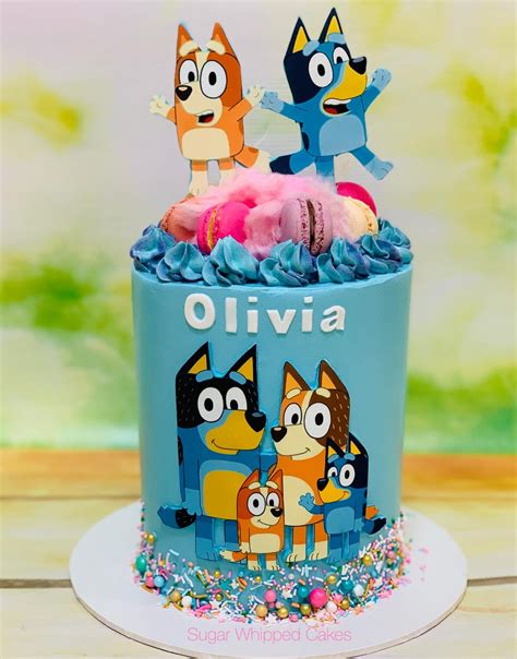 Bluey Cake In Buttercream With Fairy Floss Sprinkles And Macarons By