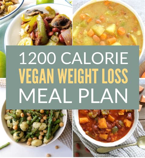1200 Calorie Vegan Weight Loss Meal Plan Payhip