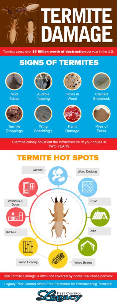 Little rock ar exterminator, pest control & termite inspector. 7 Signs of Termites - Legacy Pest Control Utah