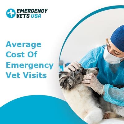 Learn more about the causes, symptoms to be aware of, and how to treat them. Average Cost Of Emergency Vet Visits In A City Near You