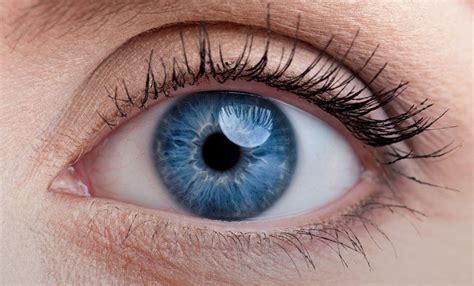 ≡ 6 Interesting Facts About The Human Eye Brain Berries