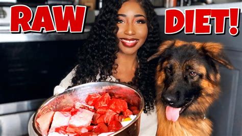 Yes, dogs, including german shepherd, can eat raw meat and other raw ingredients. DAY IN THE LIFE OF A GERMAN SHEPHERD | Raw Food Diet ...