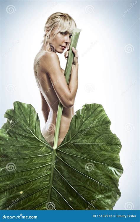 With Leaf Stock Image Image Of Naked People Healthy 15137973