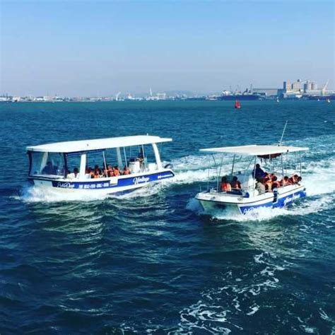 Durban 1 Hour Boat Cruise From Wilsons Wharf Getyourguide