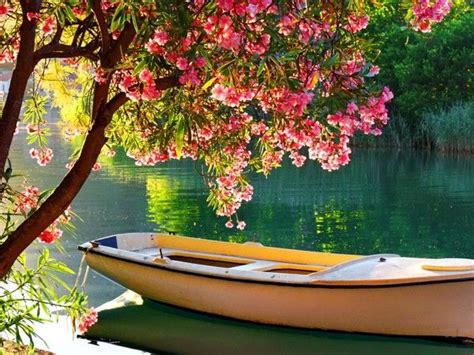 Une Barque Dans Un Lac En Automne