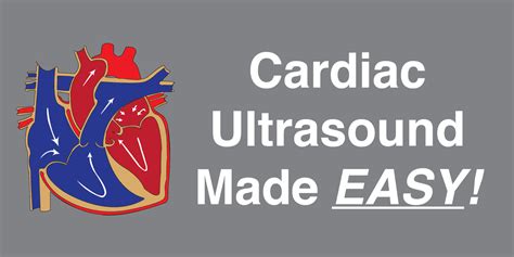 Cardiac Ultrasound Echocardiography Made Easy Step By Step Guide