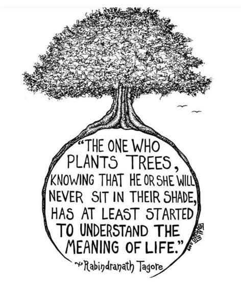 Pin By Addi Lynn On Beautiful Words Tree Of Life Quotes Meaning