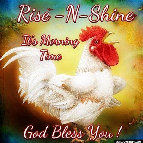 Good morning quotes for friends: Rise And Shine Its Morning Time Pictures, Photos, and ...