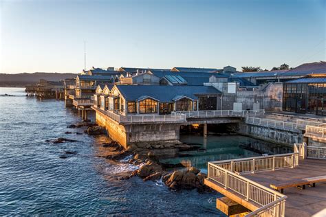 Known for its regional focus on the marine habitats of monterey bay, it was the first to exhibit a living kelp forest when it opened in october 1984. Our history | Monterey Bay Aquarium