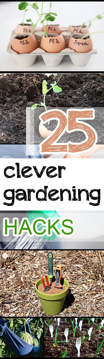 25 clever gardening hacks picky stitch
