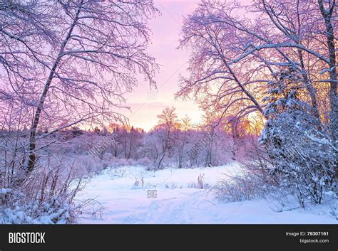 Winter Night Landscape Image And Photo Free Trial Bigstock