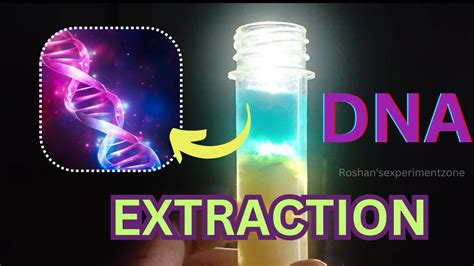 Diy Dna Extractionhow To Extract Dna At Homebanana Dna Extractionbiology