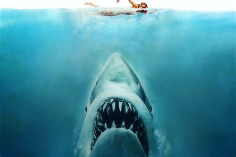 Trailer Released For Jaws Imax Remaster Film Stories