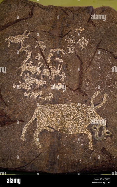 Prehistoric Rock Paintings In National Museum Of Mongolian History