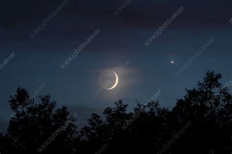 Crescent Moon Earthshine And Venus Stock Image C0335029