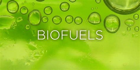 All About Palm Oil Sustainable Biofuels