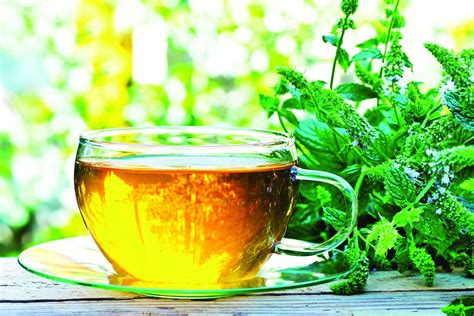 The Health Benefits Of Herbal Teas Into The Vale