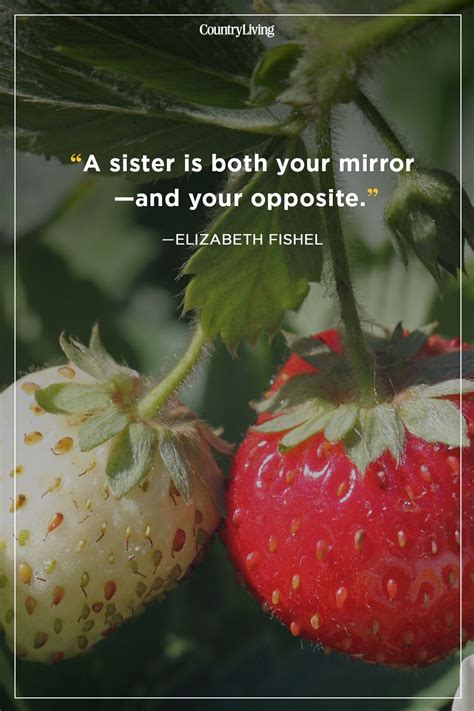 Enjoy our strawberries quotes collection. Funny Strawberry Captions - cool attitude captions