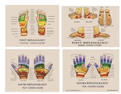 1 Set Of Reflexology Feet And Hand Charts Etsy In 2021 Hand