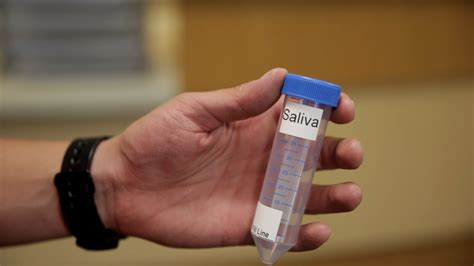 Research Shows Saliva Test For Covid 19 As Effective As Nasal Swab Test