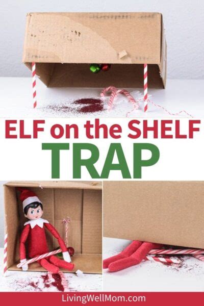 How To Build An Elf Trap Davison Anall1964
