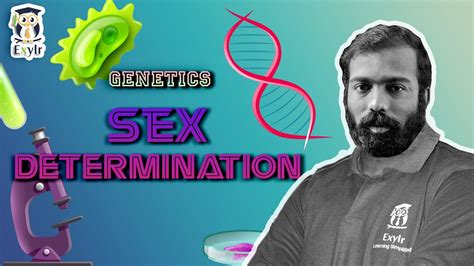 sex determination 2 neet biology dr vnm exylr learning youtube
