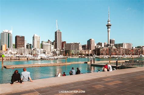 Auckland Travel Guide And Things To Do — Laidback Trip