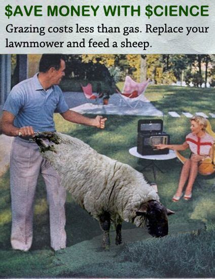 Get Out Of My Lawn Meme - Mowing Your Lawn | Mowing, Science, Lawn