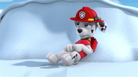 Pups Get A Liftquotes Paw Patrol Wiki Fandom Powered By Wikia