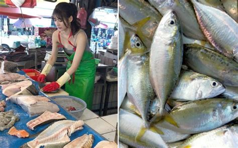 Jenis Ikan Yang Biasa Dijual Di Pasar Iluminasi