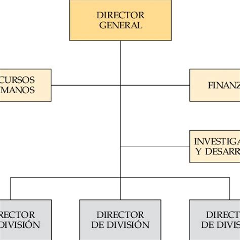 Estructura Divisional Ejemplos Sosma