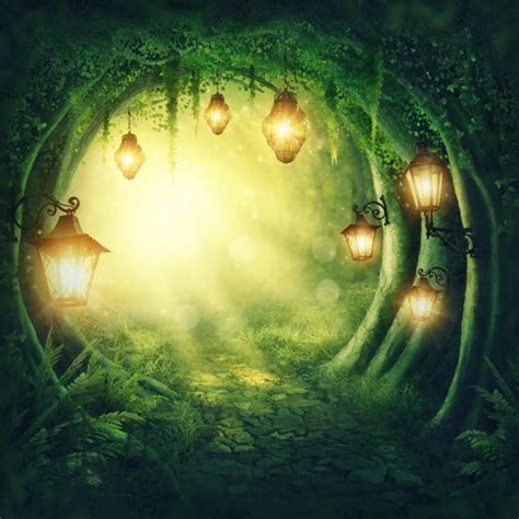Enchanted Fairy Forest Background