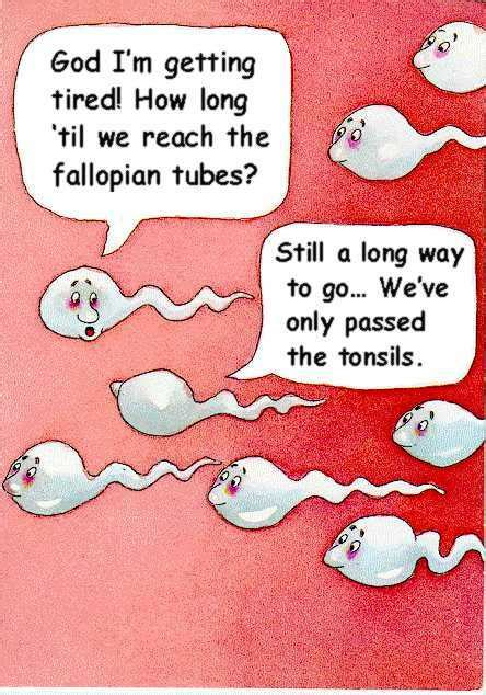 One Man S Funnies Sperms Swimming Towards The Fallopian Tube