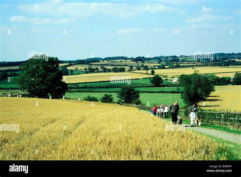 Bosworth Battlefield Walks Leicestershire View To Market Bosworth