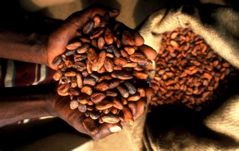 Ghana Cote Divoire Secure Us2600 Minimum Price For Tonne Of Cocoa Oasisgh