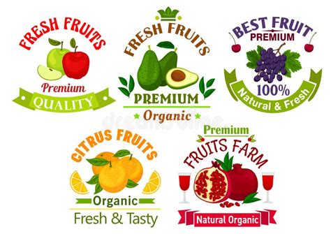 Best Fresh Juicy Fruits Stickers And Labels Stock Vector Illustration Of Natural Fruit 77685788