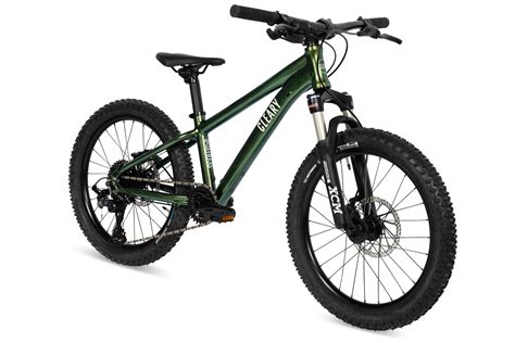 Scout 20 Inch 10 Speed Kids Mountain Bike Cleary Bikes