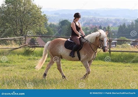 Eine Junge Frau Die Ein Pferd Haflinger Reitet Stockfoto Bild Von