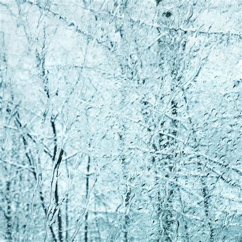 Free Images Tree Forest Outdoor Branch Snow Cold White Window