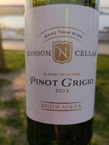 Blossom Cellar Classic Selection Pinot Grigio Vivino Us