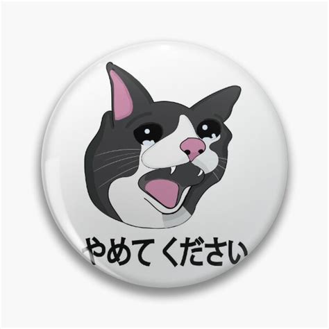 Yamete Kudasai Meme Crying Cat Yamero Japanese Words Pin By
