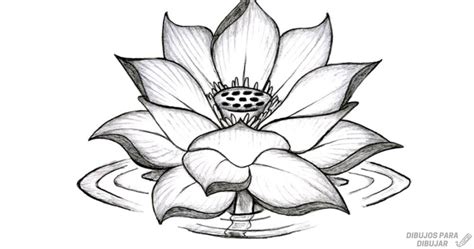 Cómo dibujar un tulipán cómo dibujar flores dibuja conmigo dibujos de flores. 磊 Dibujos de flor de loto【190】Lindas y a lápiz