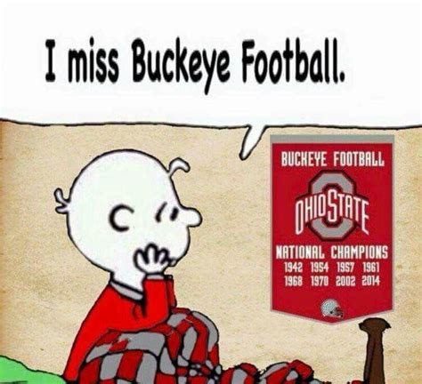 Pin By Teri Kramer On Buckeyes Ohio State Buckeyes Football Ohio