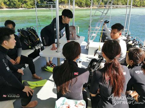padi open water diving course amazing borneo tours